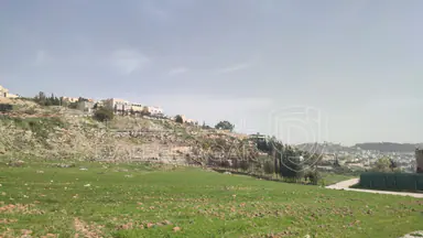 أرض - قطعة  ارض للبيع في عيون الجاموس من اراضي ناعور - 133560 دأ